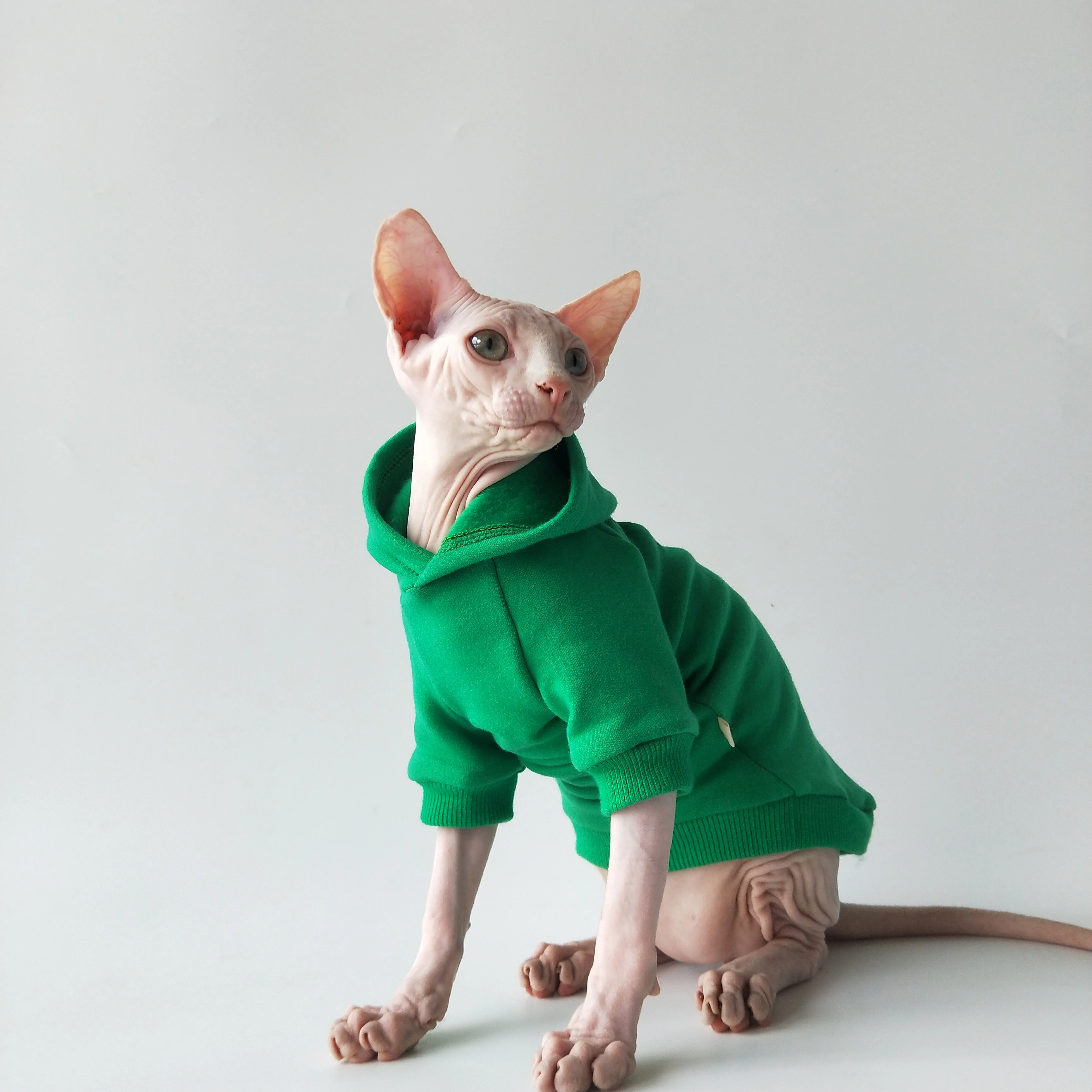 Sfinxul Rex pisica fara par de Lână Îmbrăcăminte pentru animale de Companie Pentru Pisici Hanorac Vrăjitoare Pălărie Cald Hoodi Costum De Pisica / alte \ The-a-team.ro
